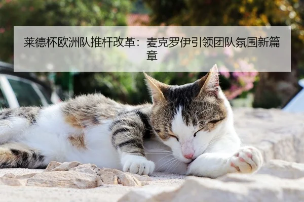 莱德杯欧洲队推杆改革：麦克罗伊引领团队氛围新篇章