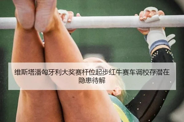 wei-si-ta-pan-xiong-ya-li-da-jiang-sai-gan-wei-qi-bu-hong-niu-sai-che-diao-xiao-cun-qian-zai-yin-huan-dai-jie-3-769.jpg